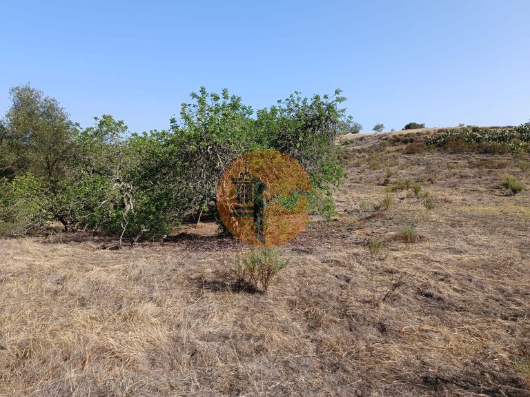 Plot for Sale in Azinhal, Castro Marim, Portugal 24