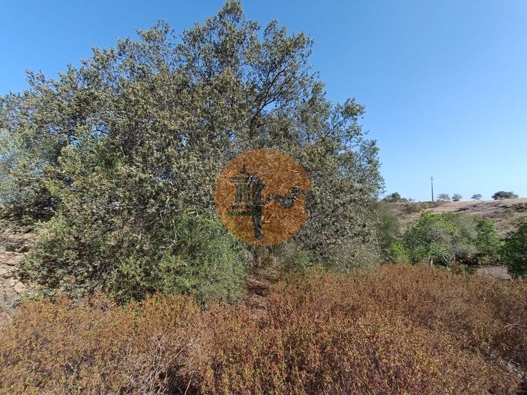 Plot for Sale in Azinhal, Castro Marim, Portugal 25