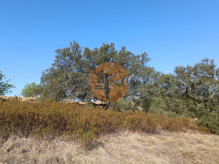 Plot for Sale in Azinhal, Castro Marim, Portugal 26