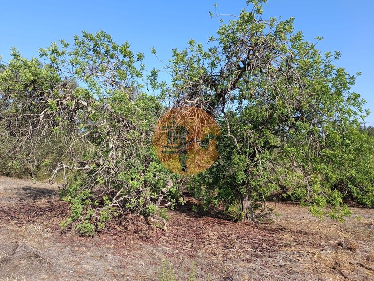 Plot for Sale in Azinhal, Castro Marim, Portugal 27