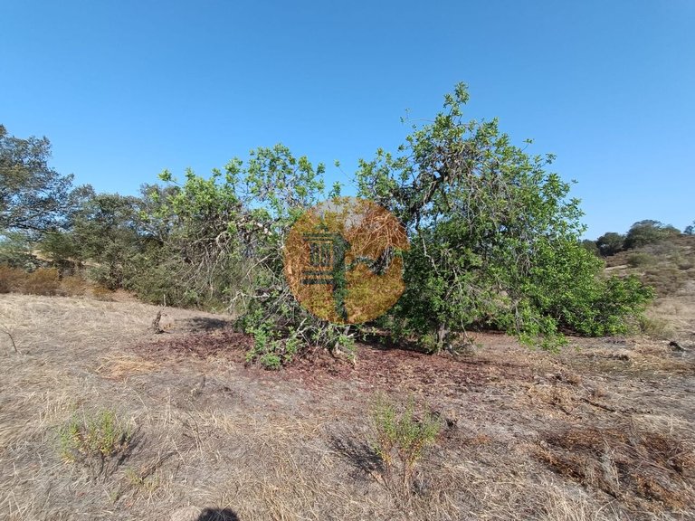 Plot for Sale in Azinhal, Castro Marim, Portugal 30