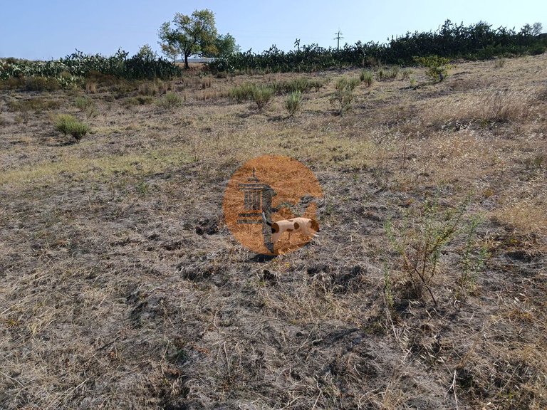 Plot for Sale in Azinhal, Castro Marim, Portugal 31