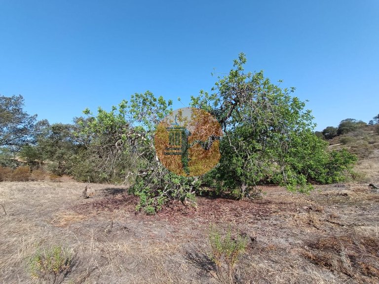 Plot for Sale in Azinhal, Castro Marim, Portugal 33