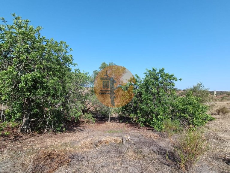 Plot for Sale in Azinhal, Castro Marim, Portugal 34