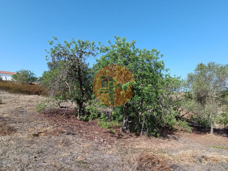 Plot for Sale in Azinhal, Castro Marim, Portugal 35
