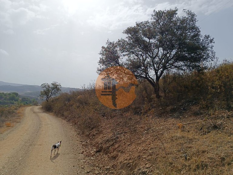Plot for Sale in Azinhal, Castro Marim, Portugal 5