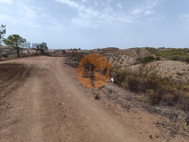 Plot for Sale in Azinhal, Castro Marim, Portugal 15