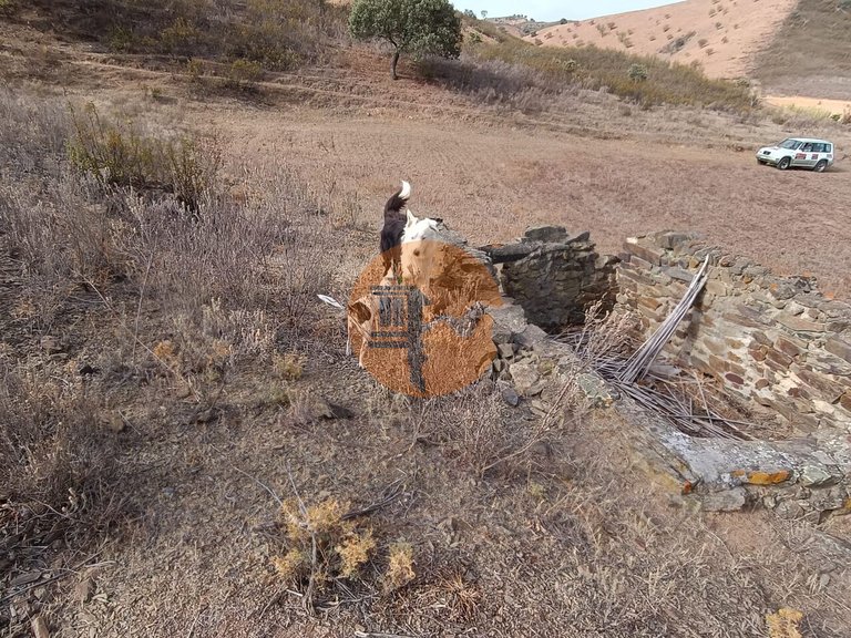 Plot for Sale in Castro Marim, Castro Marim, Portugal 9