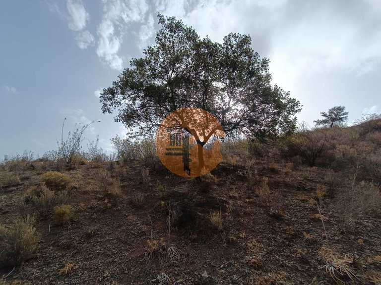 Plot for Sale in Castro Marim, Castro Marim, Portugal 26