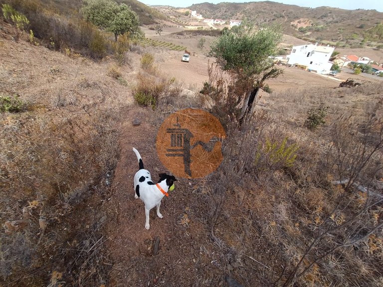 Plot for Sale in Castro Marim, Castro Marim, Portugal 32
