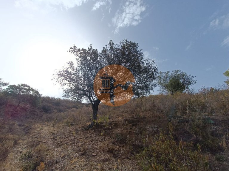 Plot for Sale in Castro Marim, Castro Marim, Portugal 39