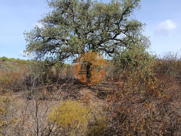 Plot for Sale in Azinhal, Castro Marim, Portugal 8