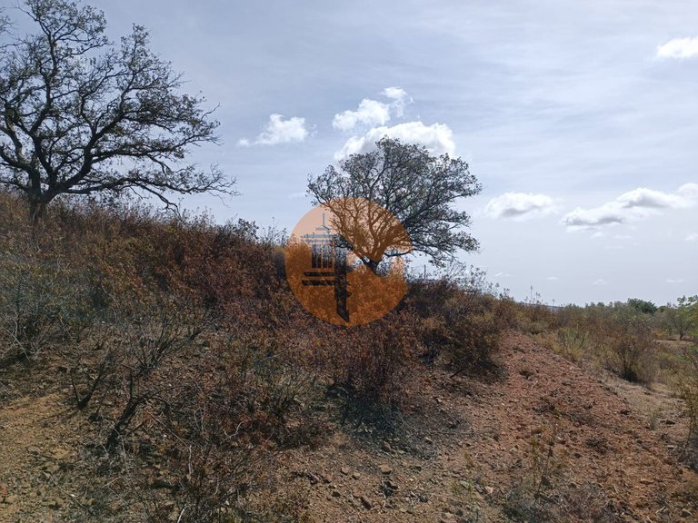 Plot for Sale in Azinhal, Castro Marim, Portugal 9