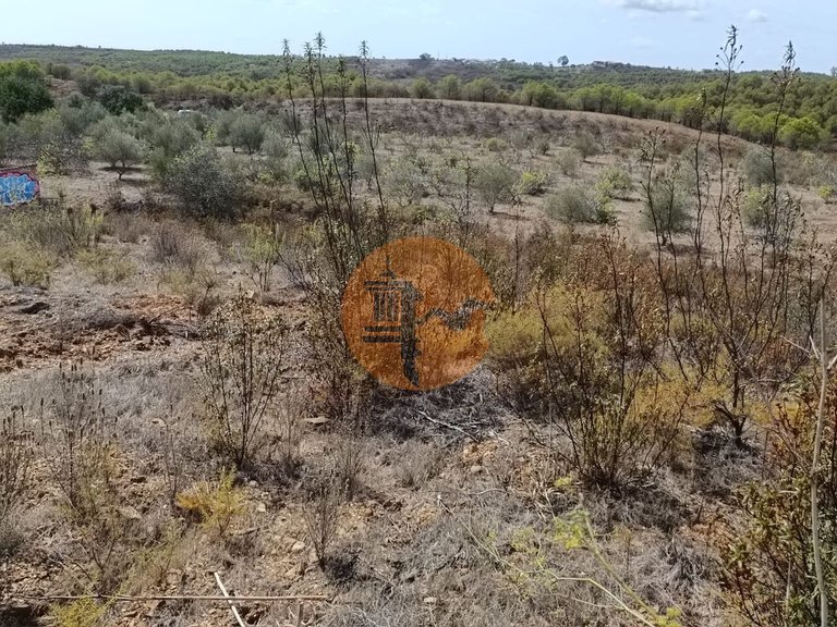 Plot for Sale in Azinhal, Castro Marim, Portugal 10
