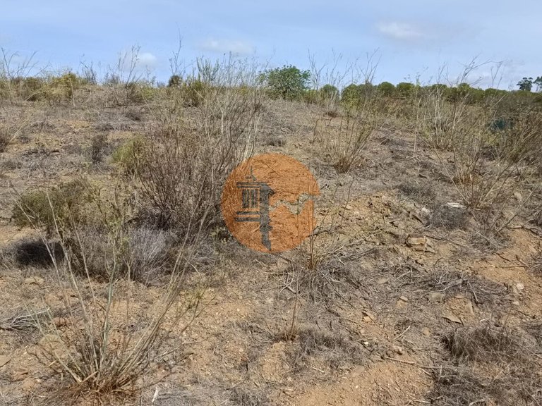 Plot for Sale in Azinhal, Castro Marim, Portugal 13