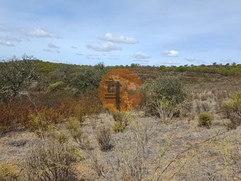 Plot for Sale in Azinhal, Castro Marim, Portugal 14