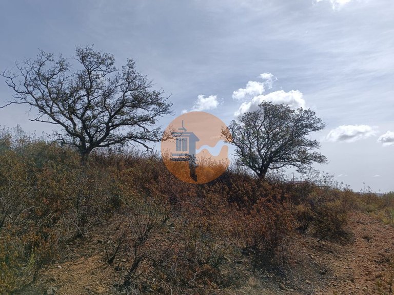 Plot for Sale in Azinhal, Castro Marim, Portugal 15
