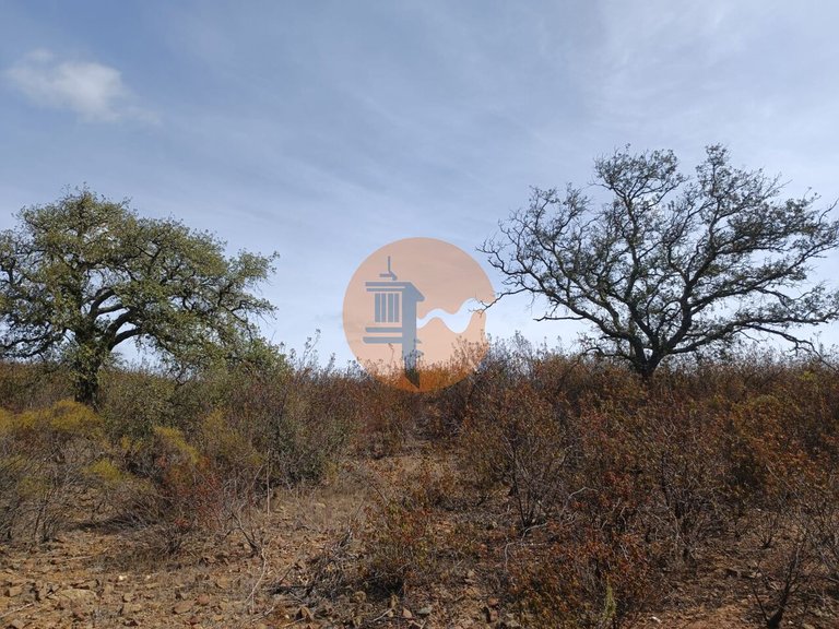 Plot for Sale in Azinhal, Castro Marim, Portugal 17