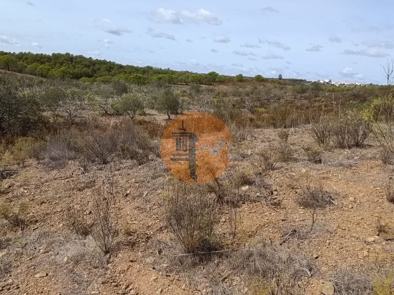 Plot for Sale in Azinhal, Castro Marim, Portugal 18