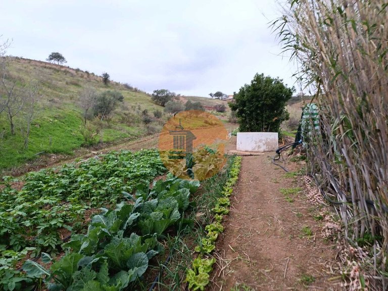 Plot for Sale in Azinhal, Castro Marim, Portugal 8