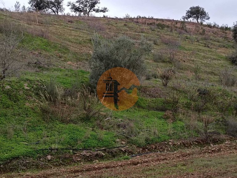 Plot for Sale in Azinhal, Castro Marim, Portugal 14