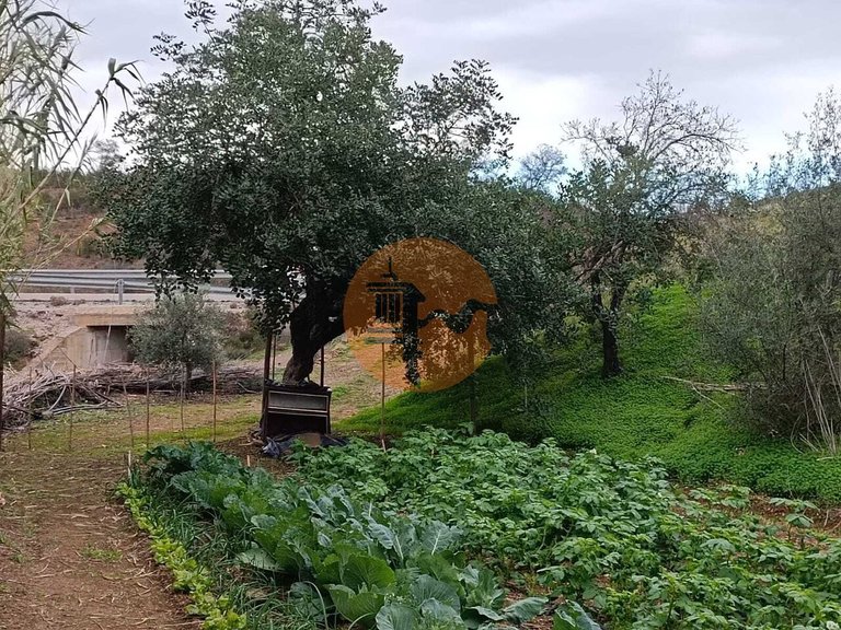 Plot for Sale in Azinhal, Castro Marim, Portugal 15