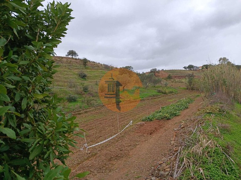 Plot for Sale in Azinhal, Castro Marim, Portugal 20