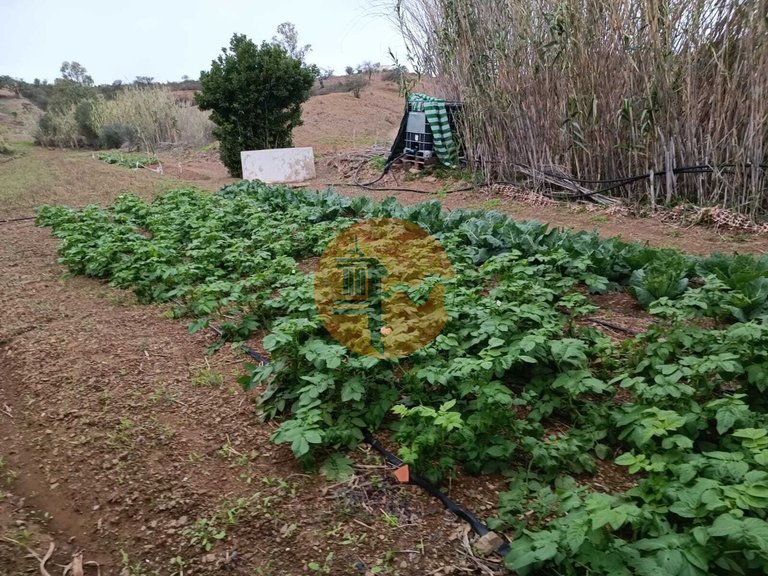 Plot for Sale in Azinhal, Castro Marim, Portugal 28