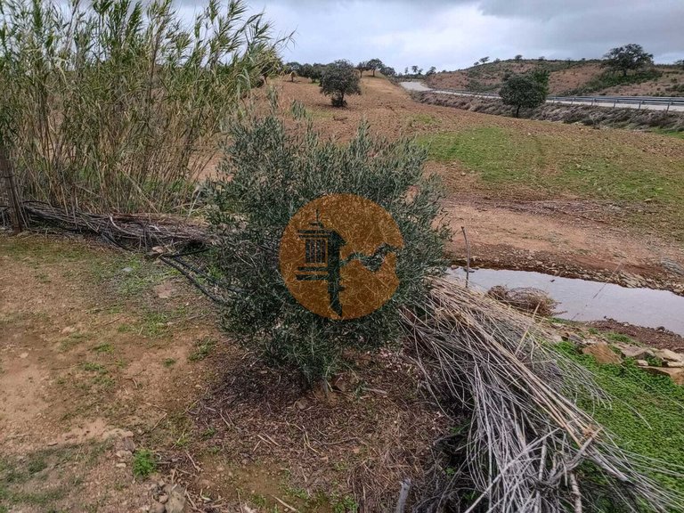 Plot for Sale in Azinhal, Castro Marim, Portugal 32