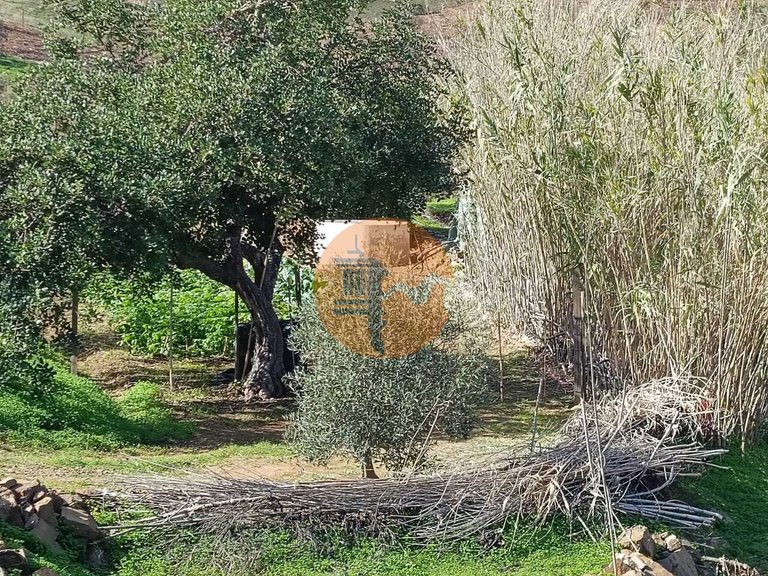 Plot for Sale in Azinhal, Castro Marim, Portugal 38