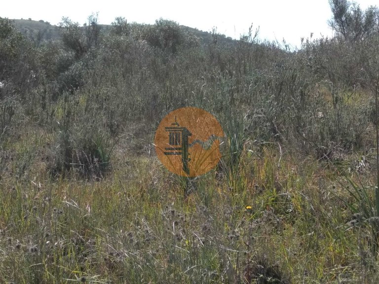 Plot for Sale in Odeleite, Castro Marim, Portugal 14