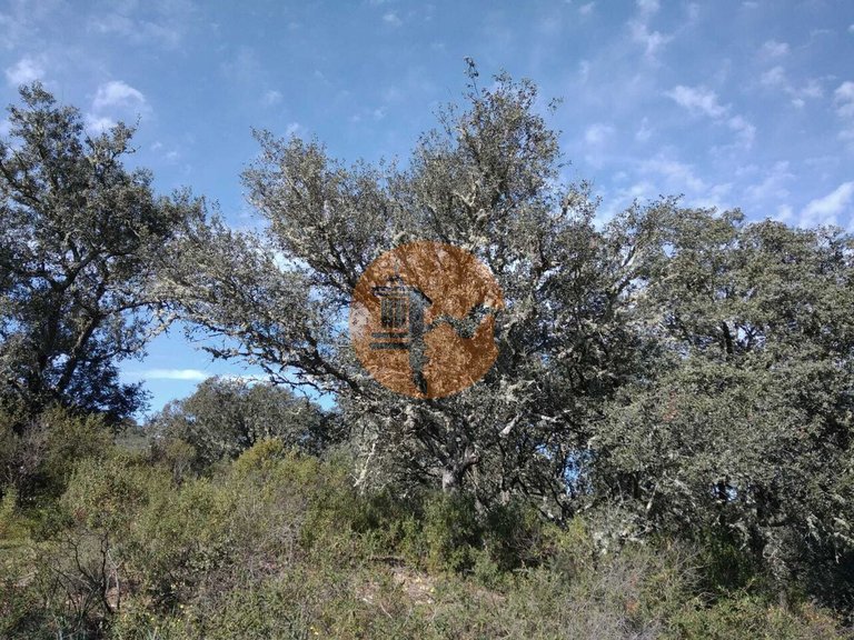 Plot for Sale in Odeleite, Castro Marim, Portugal 16