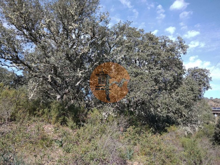 Plot for Sale in Odeleite, Castro Marim, Portugal 17