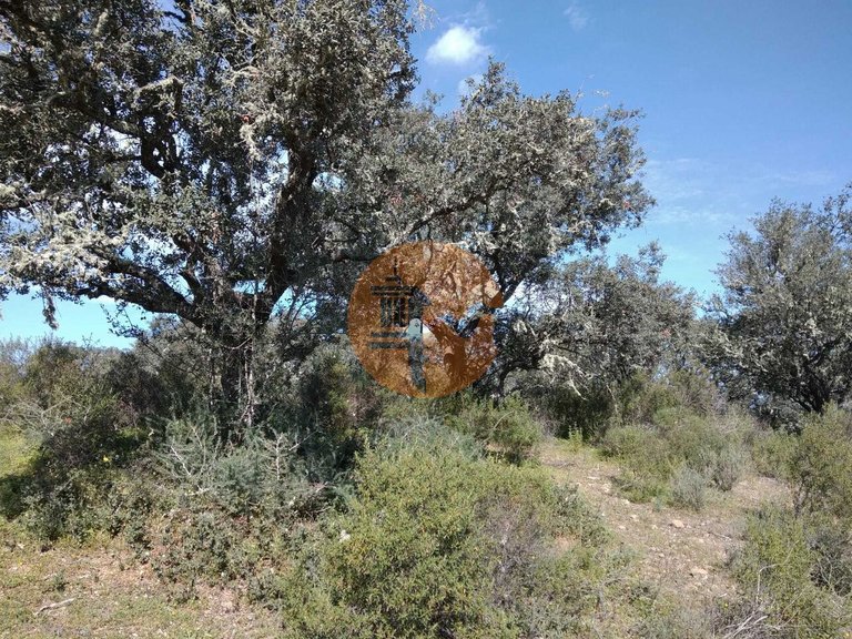 Plot for Sale in Odeleite, Castro Marim, Portugal 20