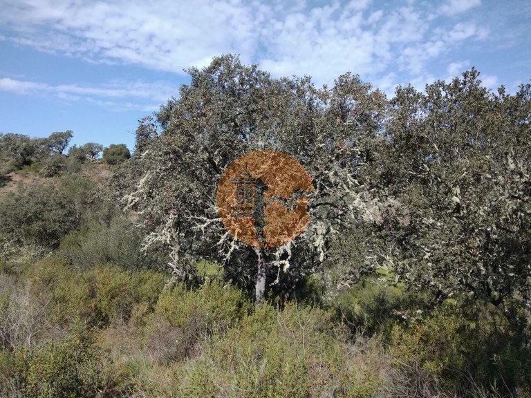 Plot for Sale in Odeleite, Castro Marim, Portugal 22