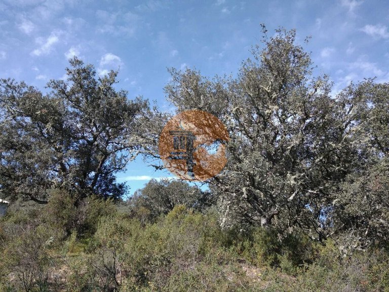 Plot for Sale in Odeleite, Castro Marim, Portugal 23