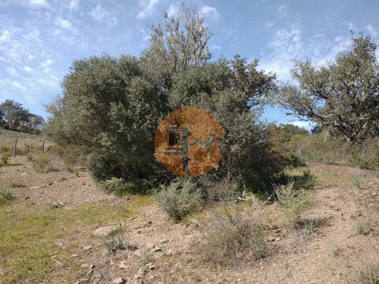 Plot for Sale in Odeleite, Castro Marim, Portugal 25
