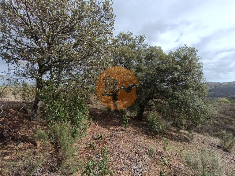 Plot for Sale in Azinhal, Castro Marim, Portugal 6