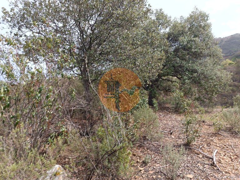 Plot for Sale in Azinhal, Castro Marim, Portugal 13