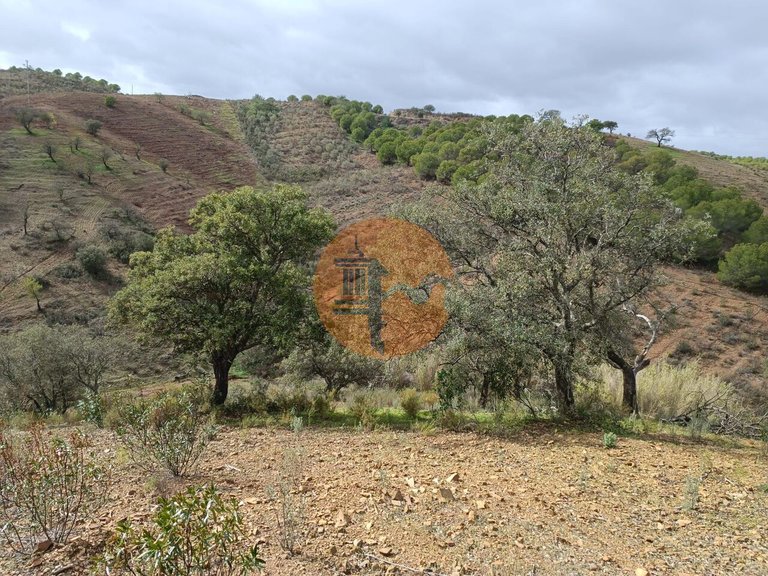 Plot for Sale in Azinhal, Castro Marim, Portugal 14
