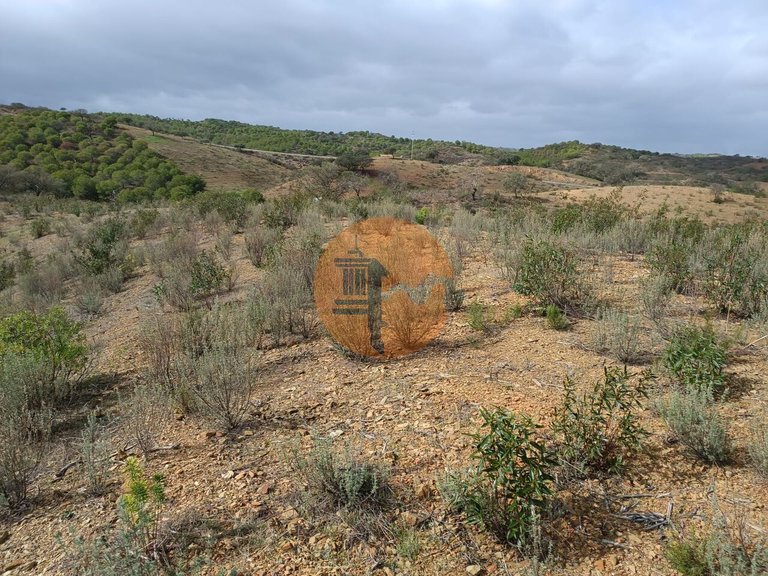Plot for Sale in Azinhal, Castro Marim, Portugal 18