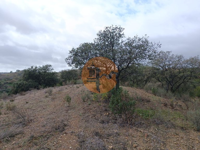 Plot for Sale in Azinhal, Castro Marim, Portugal 22