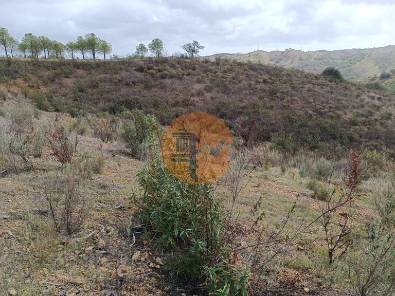Plot for Sale in Azinhal, Castro Marim, Portugal 24