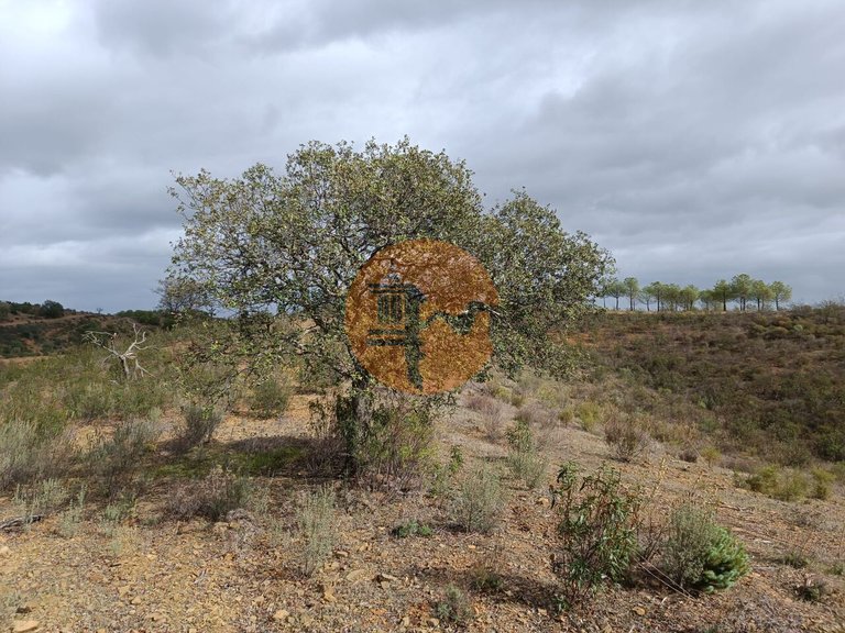Plot for Sale in Azinhal, Castro Marim, Portugal 27