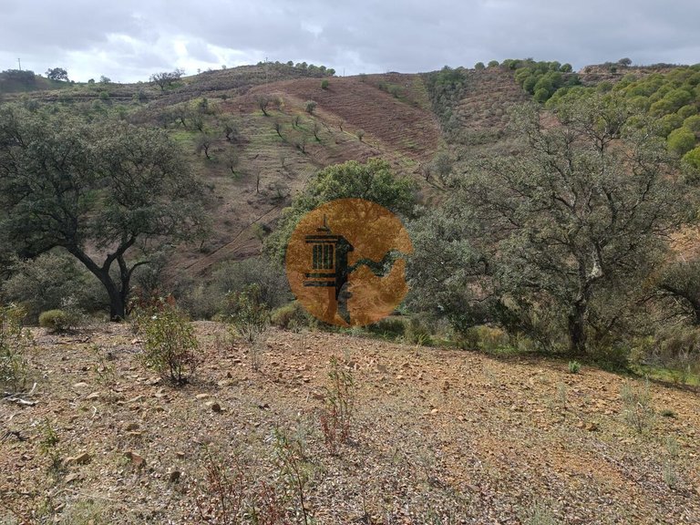 Plot for Sale in Azinhal, Castro Marim, Portugal 30