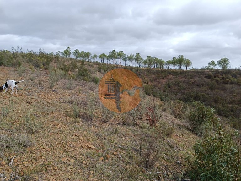 Plot for Sale in Azinhal, Castro Marim, Portugal 34