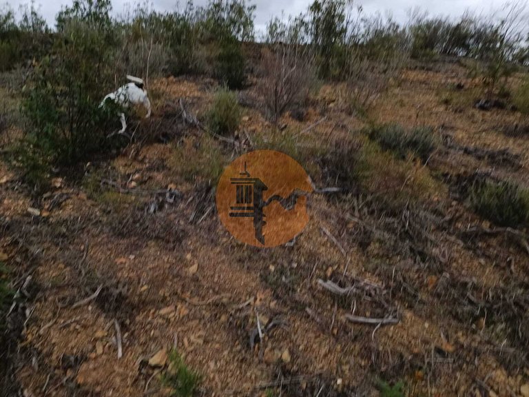 Plot for Sale in Azinhal, Castro Marim, Portugal 9