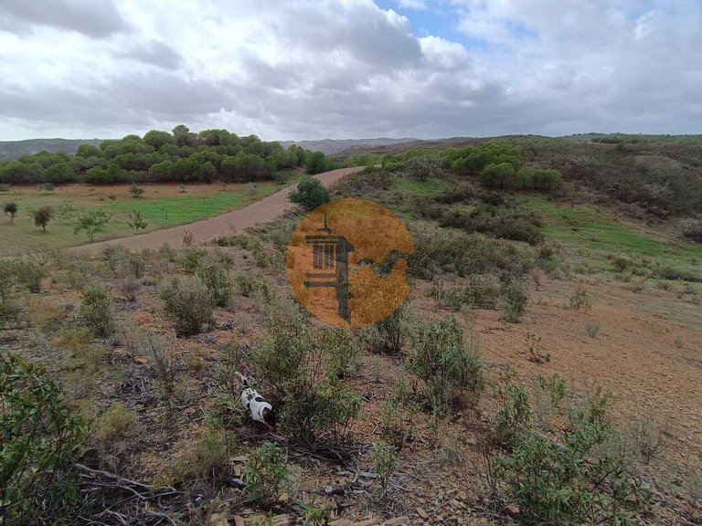 Plot for Sale in Azinhal, Castro Marim, Portugal 17