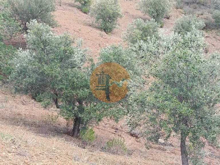 Plot for Sale in Azinhal, Castro Marim, Portugal 1