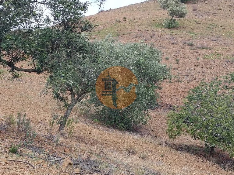 Plot for Sale in Azinhal, Castro Marim, Portugal 5